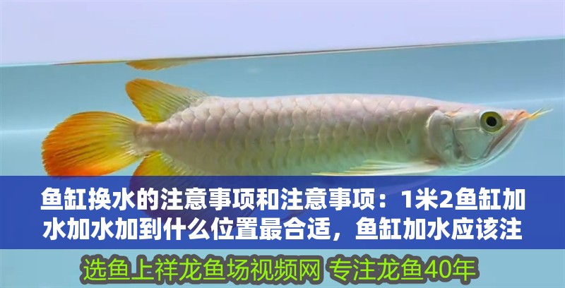 魚缸換水的注意事項(xiàng)和注意事項(xiàng)：1米2魚缸加水加水加到什么位置最合適，魚缸加水應(yīng)該注意什么 魚缸換水的注意事項(xiàng)和注意事項(xiàng)：1米2魚缸加水加水加到什么位置最合適，魚缸加水應(yīng)該注意什么 魚缸百科