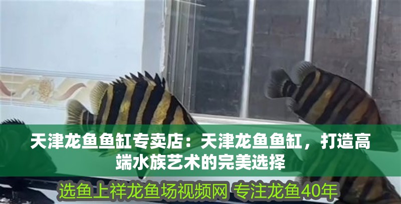 天津龍魚魚缸專賣店：天津龍魚魚缸，打造高端水族藝術的完美選擇