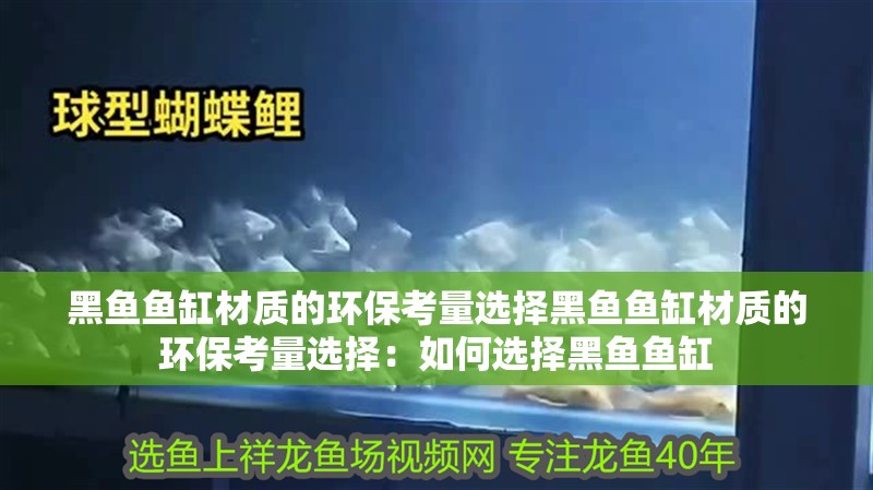 黑魚魚缸材質的環?？剂窟x擇黑魚魚缸材質的環?？剂窟x擇：如何選擇黑魚魚缸