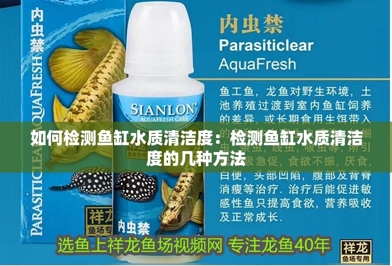 如何檢測魚缸水質清潔度：檢測魚缸水質清潔度的幾種方法