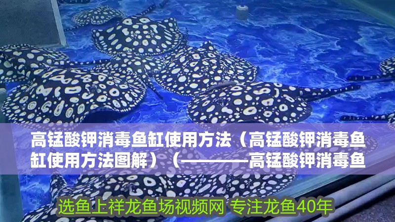 高錳酸鉀消毒魚缸使用方法（高錳酸鉀消毒魚缸使用方法圖解）（————高錳酸鉀消毒魚缸消毒）