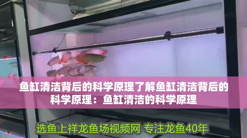 魚缸清潔背后的科學原理了解魚缸清潔背后的科學原理：魚缸清潔的科學原理
