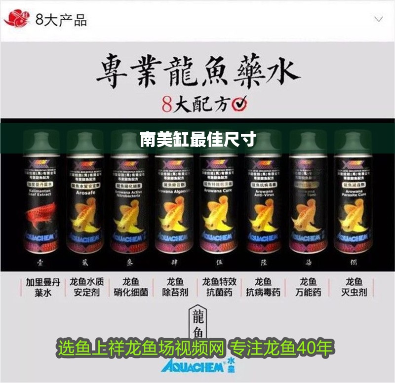 南美缸最佳尺寸