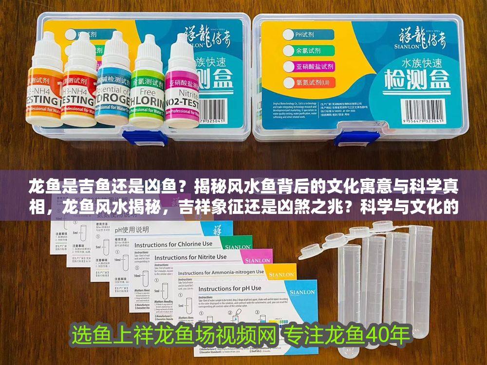 龍魚是吉魚還是兇魚？揭秘風水魚背后的文化寓意與科學真相，龍魚風水揭秘，吉祥象征還是兇煞之兆？科學與文化的雙重解讀
