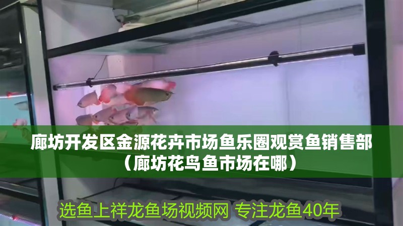 廊坊開發(fā)區(qū)金源花卉市場(chǎng)魚樂圈觀賞魚銷售部（廊坊花鳥魚市場(chǎng)在哪）