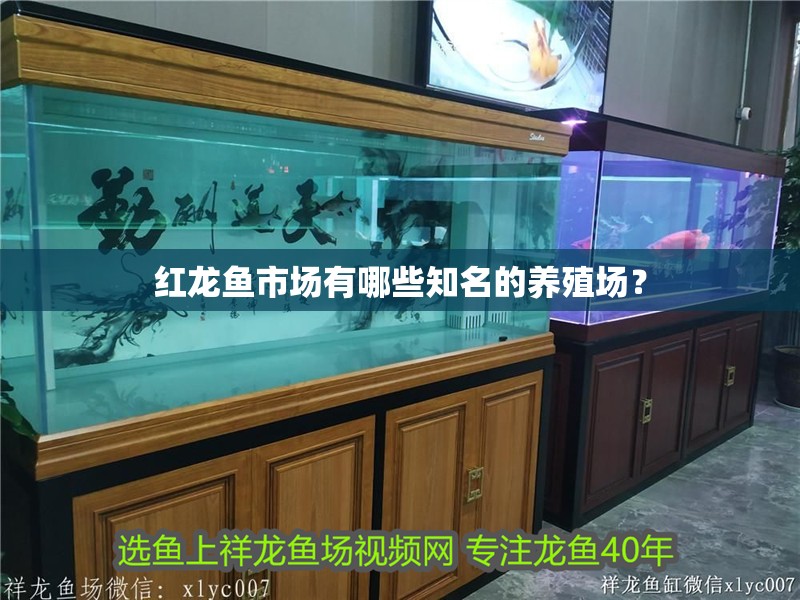 紅龍魚市場有哪些知名的養殖場？