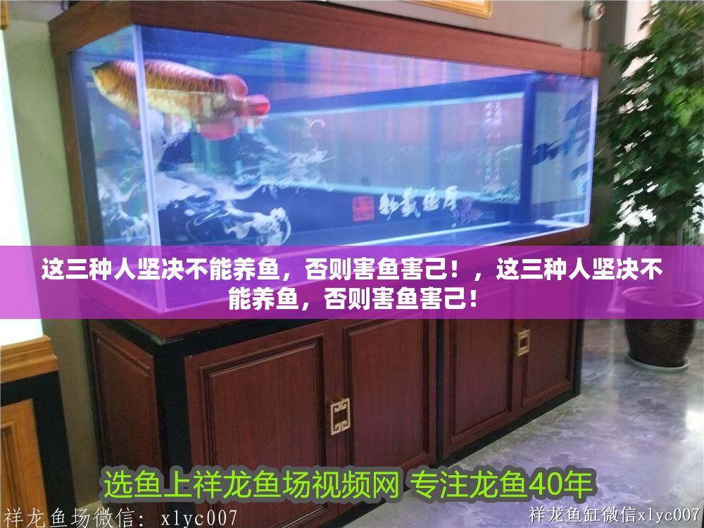 這三種人堅決不能養魚，否則害魚害己！，這三種人堅決不能養魚，否則害魚害己！