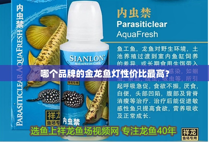 哪個品牌的金龍魚燈性價比最高？