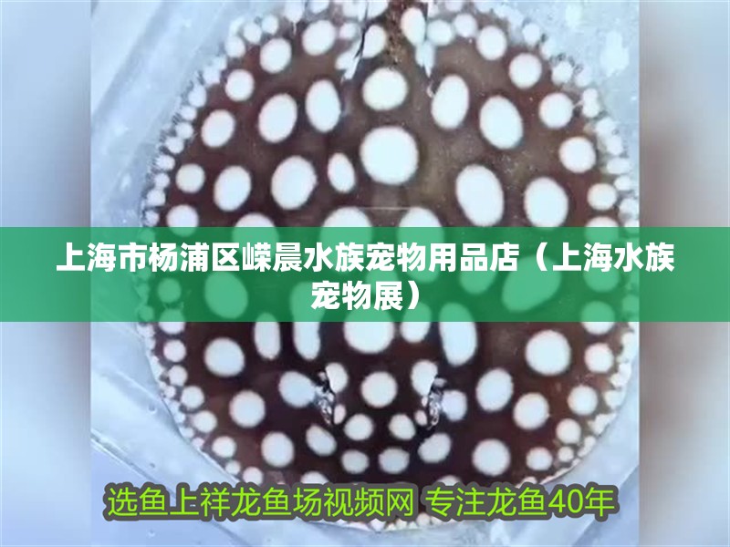 上海市楊浦區嶸晨水族寵物用品店（上海水族寵物展）