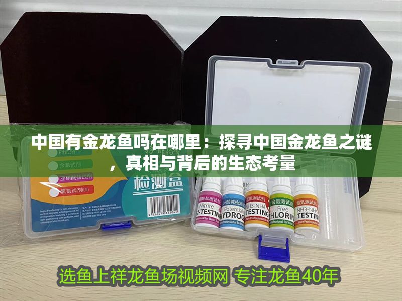 中國有金龍魚嗎在哪里：探尋中國金龍魚之謎，真相與背后的生態(tài)考量
