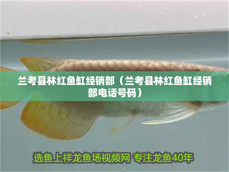 蘭考縣林紅魚缸經銷部（蘭考縣林紅魚缸經銷部電話號碼）