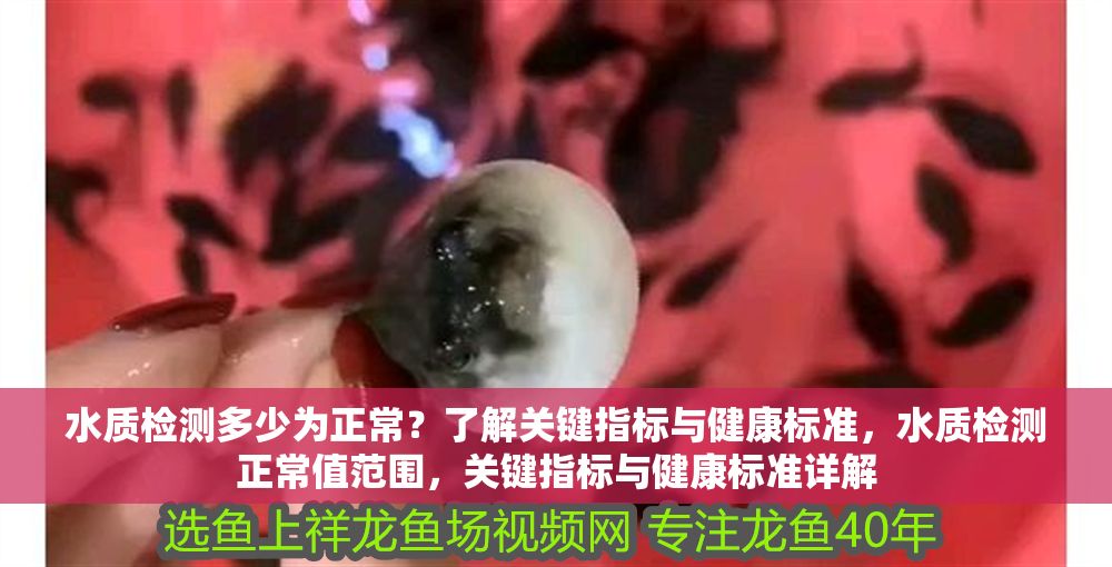 水質檢測多少為正常？了解關鍵指標與健康標準，水質檢測正常值范圍，關鍵指標與健康標準詳解