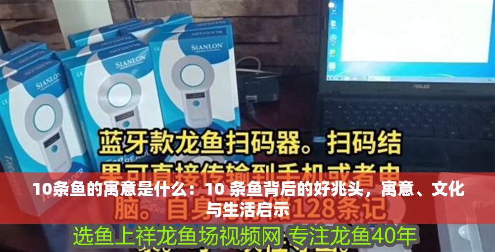 10條魚的寓意是什么：10 條魚背后的好兆頭，寓意、文化與生活啟示