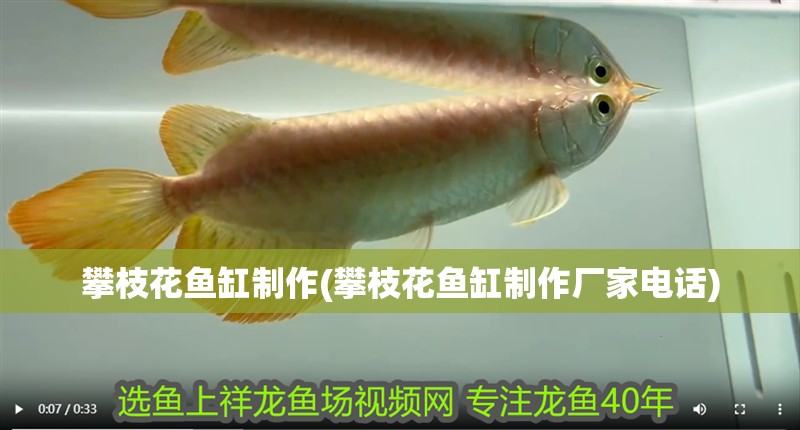 <strong><mark>攀枝花</mark></strong>魚缸制作(<strong><mark>攀枝花</mark></strong>魚缸制作廠家電話)