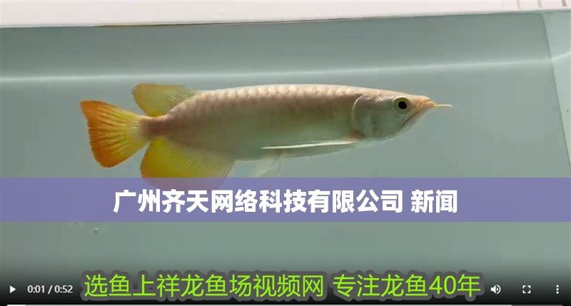 廣州齊天網絡科技有限公司 新聞