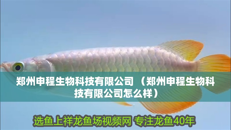 鄭州申程生物科技有限公司 （鄭州申程生物科技有限公司怎么樣）