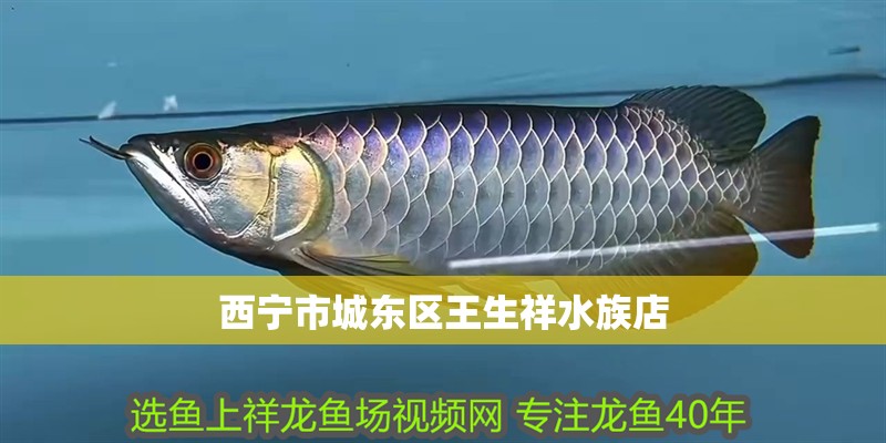 西寧市城東區王生祥水族店