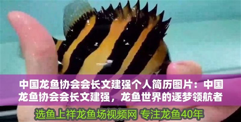 中國龍魚協會會長文建強個人簡歷圖片：中國龍魚協會會長文建強，龍魚世界的逐夢領航者
