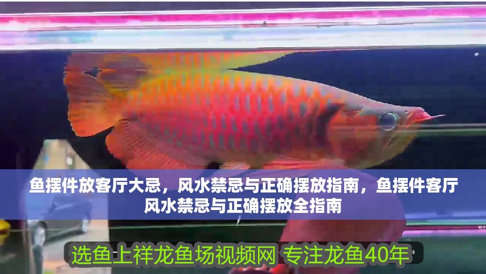 魚擺件放客廳大忌，風(fēng)水禁忌與正確擺放指南，魚擺件客廳風(fēng)水禁忌與正確擺放全指南