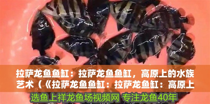 拉薩龍魚魚缸：拉薩龍魚魚缸，高原上的水族藝術(shù)（《拉薩龍魚魚缸：拉薩龍魚缸：高原上的水族藝術(shù)》）