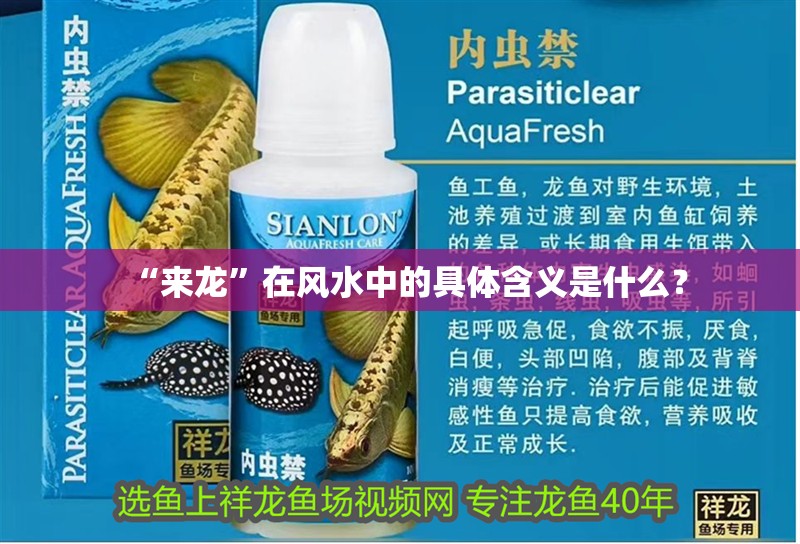 “來龍”在風水中的具體含義是什么？