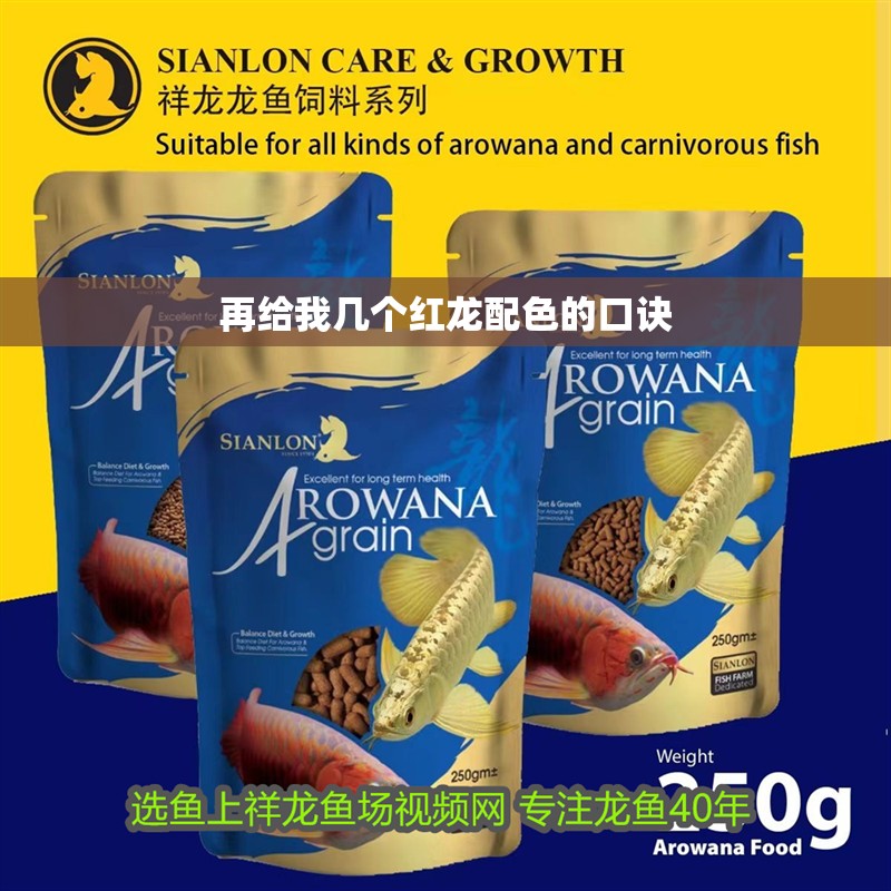 再給我?guī)讉€(gè)紅龍配色的口訣