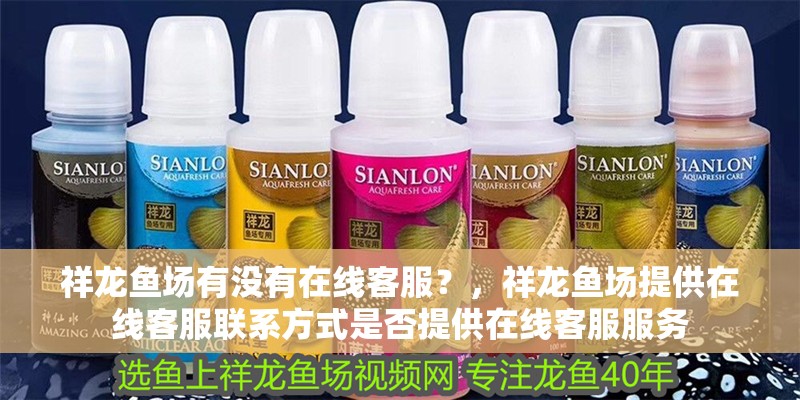 祥龍魚場有沒有在線客服？，祥龍魚場提供在線客服聯系方式是否提供在線客服服務 祥龍魚場有沒有在線客服？，祥龍魚場提供在線客服聯系方式是否提供在線客服服務 龍魚百科