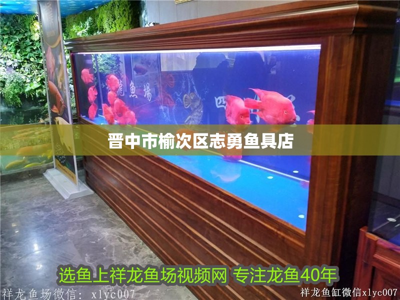 晉中市榆次區志勇魚具店