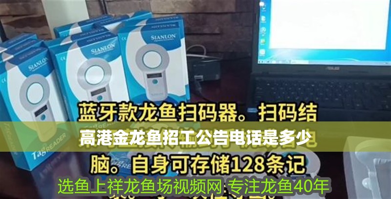 高港金龍魚招工公告電話是多少