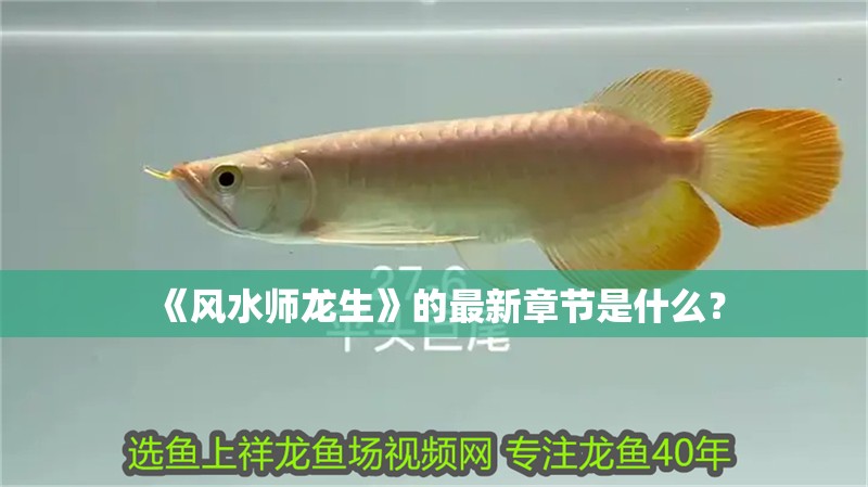 《風水師龍生》的最新章節是什么？