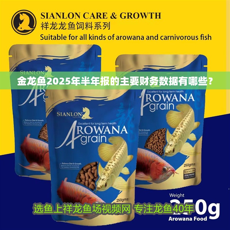 我的虎魚真菌感染了要怎么處理 金龍魚2025年半年報的主要財務數據有哪些? 水族問答 金龍魚2025年半年報的主要財務數據有哪些? 金龍魚2025年半年報的主要財務數據有哪些? 水族問答