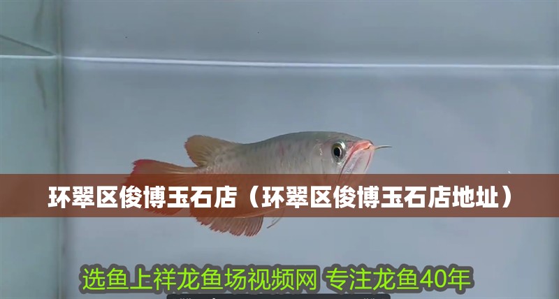 環(huán)翠區(qū)俊博玉石店（環(huán)翠區(qū)俊博玉石店地址）