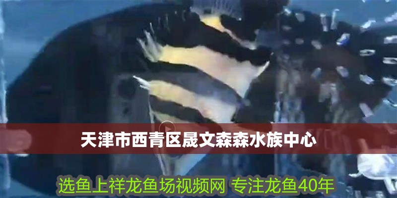天津市西青區(qū)晟文森森水族中心