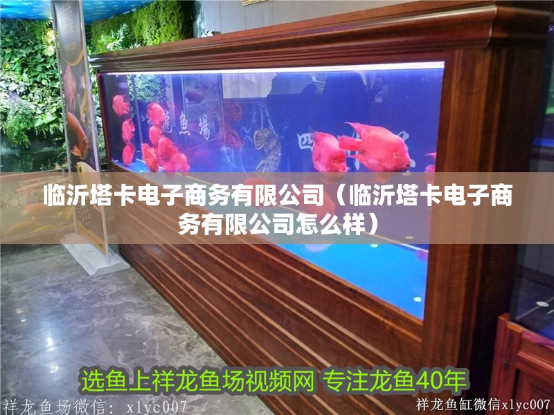臨沂塔卡電子商務有限公司（臨沂塔卡電子商務有限公司怎么樣）