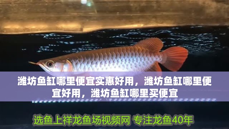 濰坊魚缸哪里便宜實惠好用，濰坊魚缸哪里便宜好用，濰坊魚缸哪里買便宜