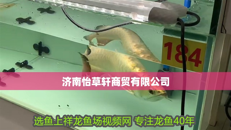 濟南怡草軒商貿有限公司