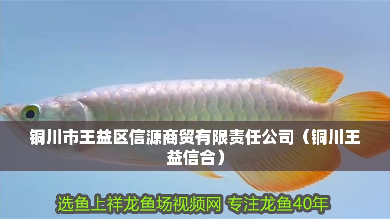 銅川市王益區(qū)信源商貿(mào)有限責(zé)任公司（銅川王益信合）