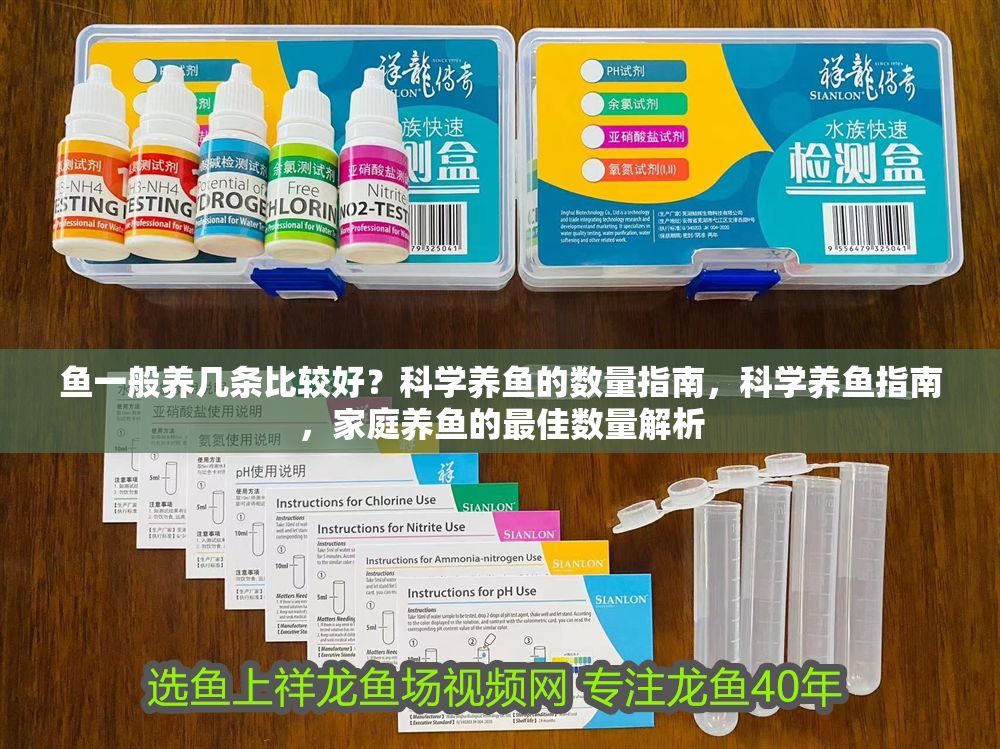 魚一般養幾條比較好？科學養魚的數量指南，科學養魚指南，家庭養魚的最佳數量解析