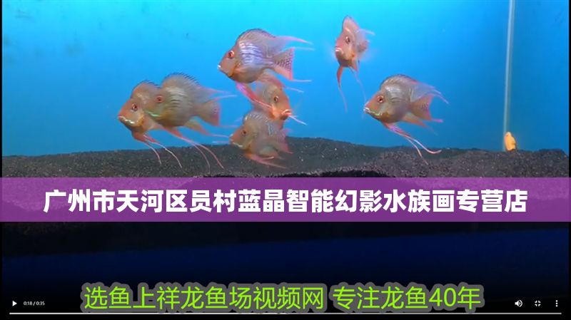 廣州市天河區員村藍晶智能幻影水族畫專營店