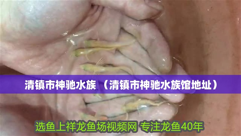 清鎮市神馳水族 （清鎮市神馳水族館地址）