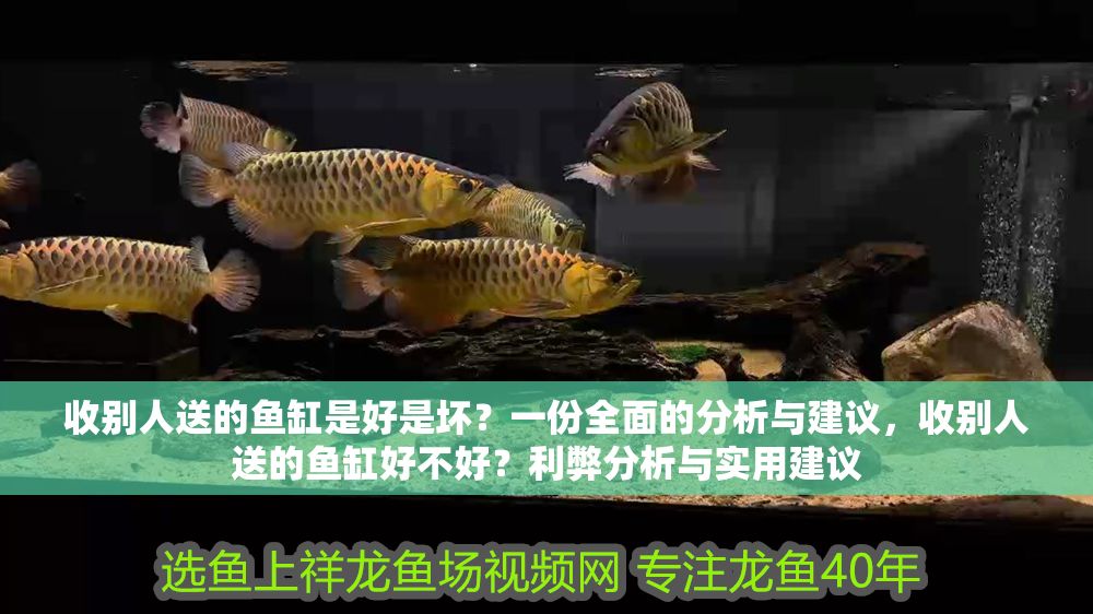 收別人送的魚缸是好是壞？一份全面的分析與建議，收別人送的魚缸好不好？利弊分析與實用建議