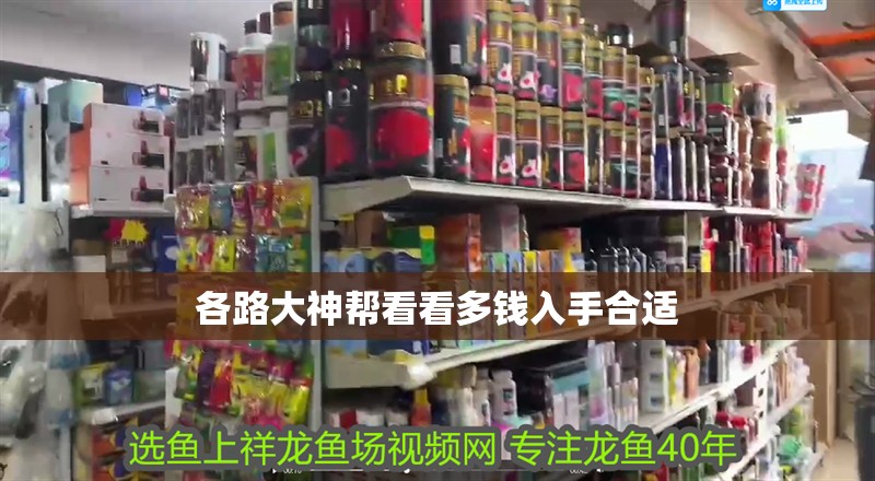 各路大神幫看看多錢入手合適