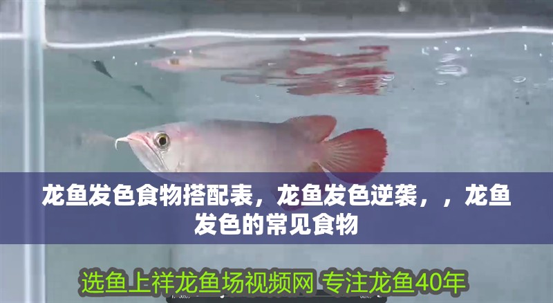 龍魚發色食物搭配表，龍魚發色逆襲，，龍魚發色的常見食物