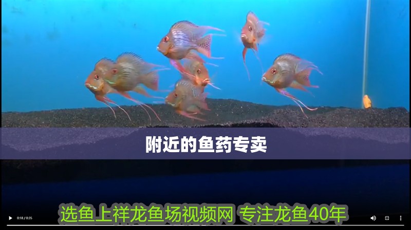 附近的魚藥專賣