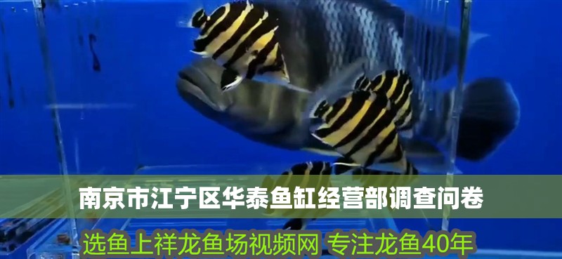 <strong><mark>南京</mark></strong>市江寧區華泰魚缸經營部調查問卷