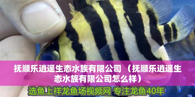 撫順樂逍遙生態(tài)水族有限公司 （撫順樂逍遙生態(tài)水族有限公司怎么樣） 撫順樂逍遙生態(tài)水族有限公司 （撫順樂逍遙生態(tài)水族有限公司怎么樣） 全國(guó)水族館企業(yè)名錄