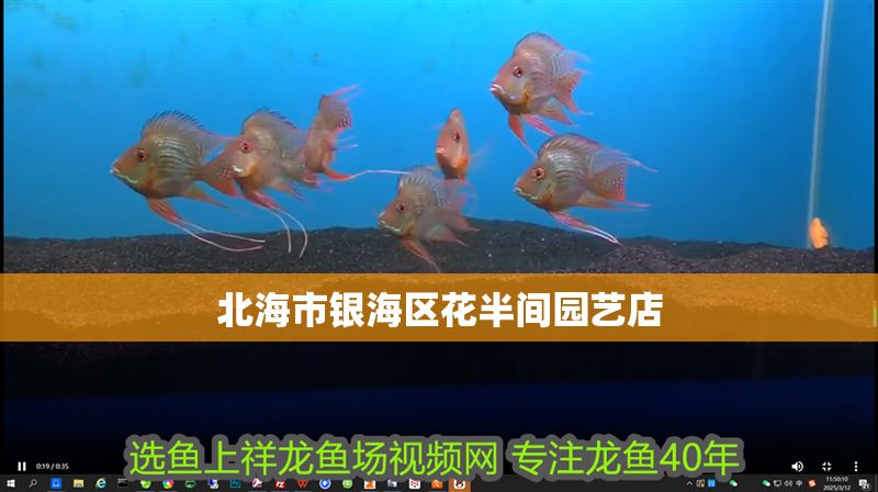 北海市銀海區花半間園藝店