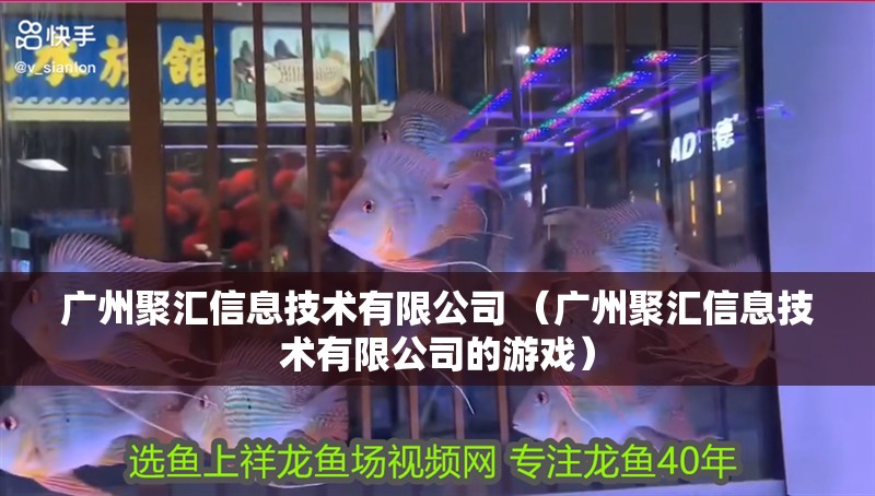 廣州聚匯信息技術有限公司 （廣州聚匯信息技術有限公司的游戲）