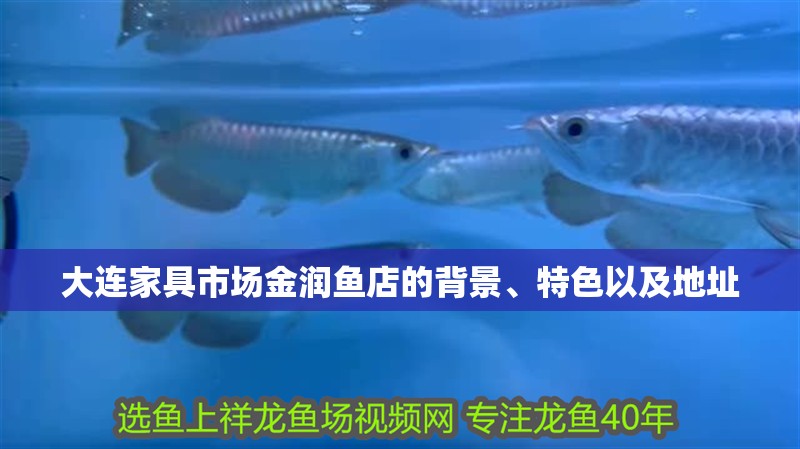 大連家具市場金潤魚店的背景、特色以及地址