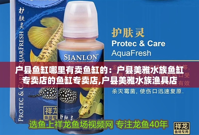 戶縣魚缸哪里有賣魚缸的：戶縣美雅水族魚缸專賣店的魚缸專賣店,戶縣美雅水族漁具店
